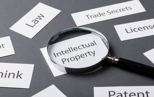 Intellectual property protection