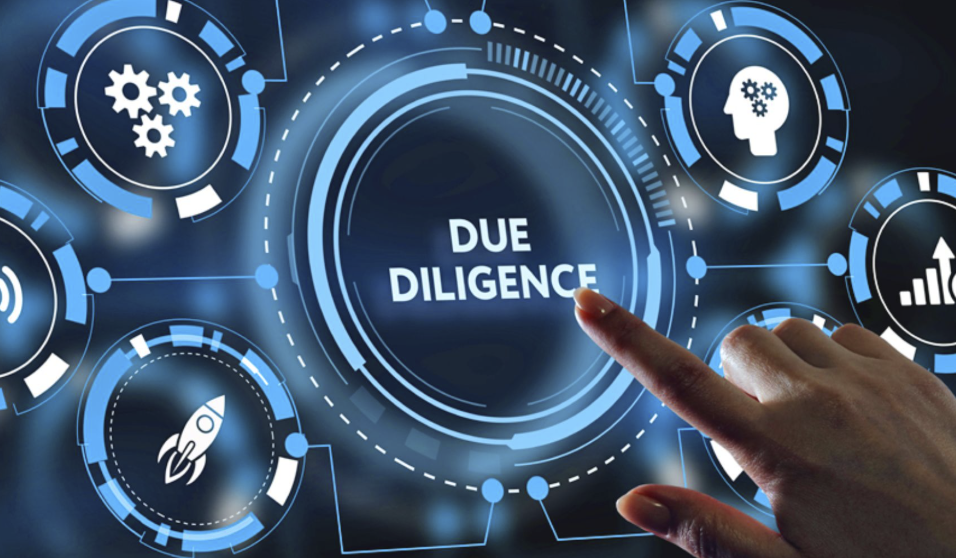 Due Diligence