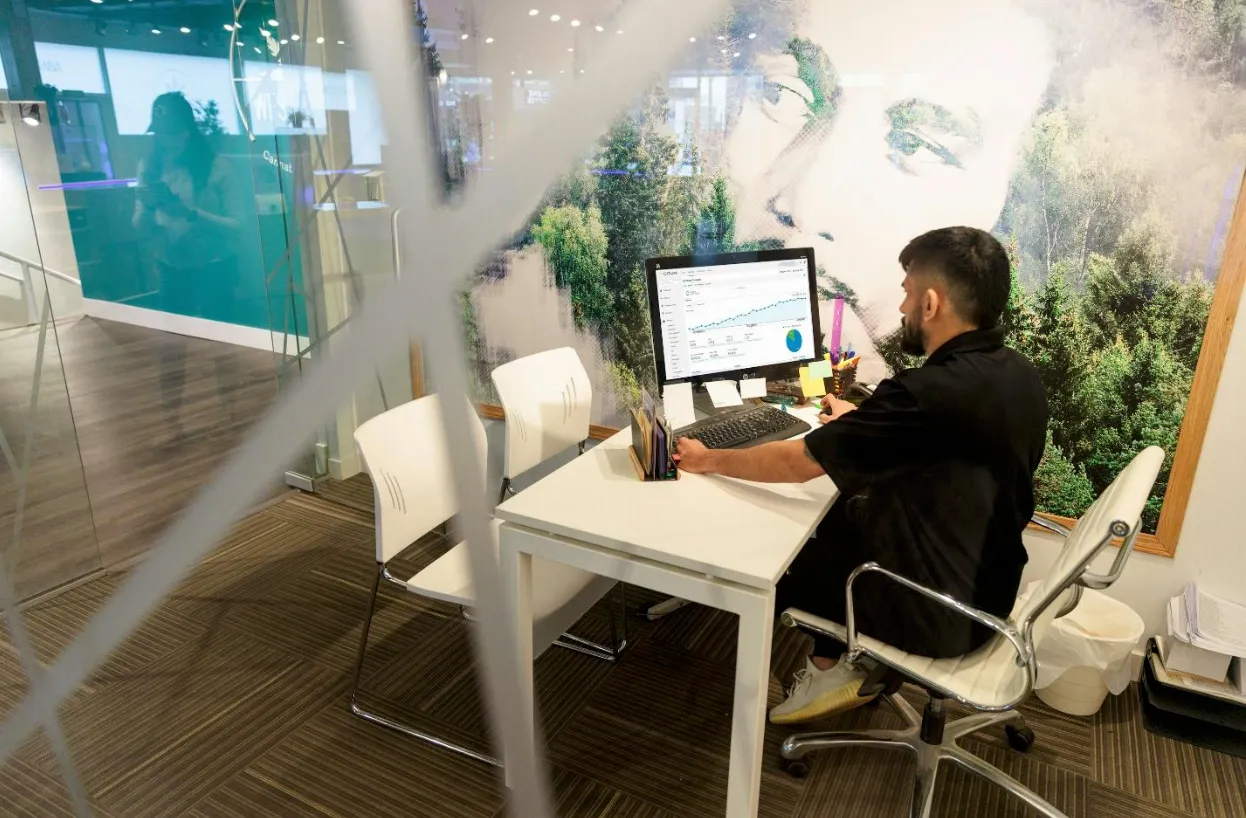 Background screening solutions